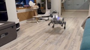 Робособака Deep robotics lite3 делает прыжок вперед