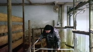 Устройство доильного зала "елочка" в нашем хозяйстве
