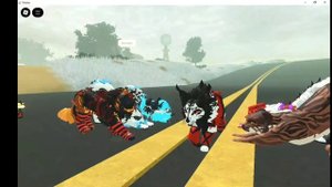 это видео от Небесной лапы!