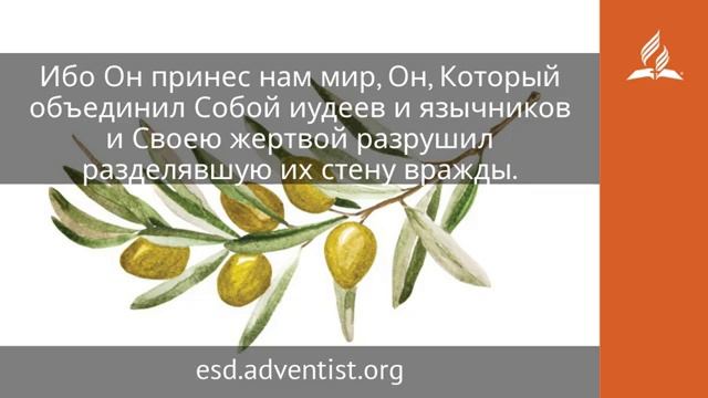 9 января 2025 Далёкие стали близкими смотреть онлайн