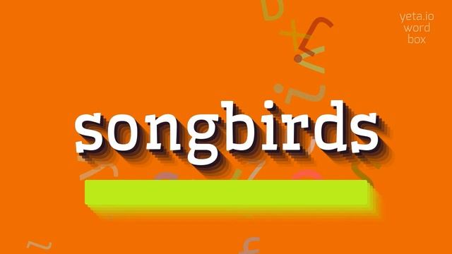 SONGBIRDS - HOW TO PRONOUNCE SONGBIRDS? #songbirds