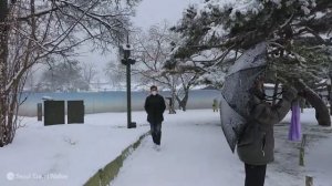 경복궁 눈폭탄 대설주의보 풍경, 서울 경복궁 여행, 한파주의보, 서울여행