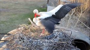 Любовь после разлуки