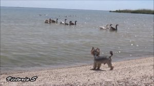 Херсонщина - всё это наша земля. Древний Станислав, Днепровский Лиман.