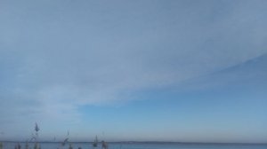 VID_20250106_105750.mp4