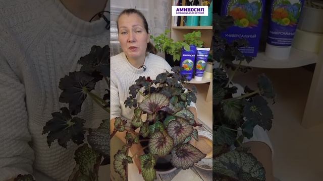 Сегодня поговорим с вами о дренажной системе при пересадке комнатных растений ✅