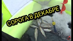 ДОРОГУ ЗАМЕЛО, ЕДЕМ НА РЫБАЛКУ ПОСЛЕ МЕТЕЛИ _ СОРОГА _ РЫБАЛКА #тайгахмао