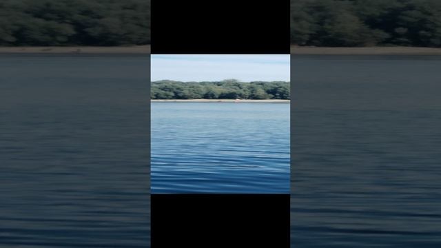 Рыбалка