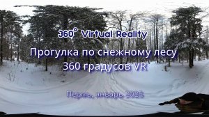 Пермь, прогулка по снежному лесу, Видео 360
