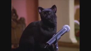 Кот Сэйлем - лучшие моменты 7 сезон. Сабрина - маленькая ведьма