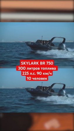 Риб SKYLARK BR 750  #рибскайларк #rbsservice #ribboat #riverboats