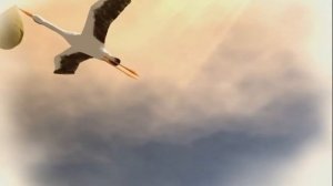 Летящий журавль - с ребенком - футаж - 720p 16 : 9