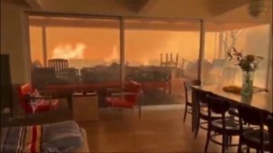 🔴USA* Лос-Анджелес сейчас (1)🔴Los Angeles - today🔴(08.01.2025).