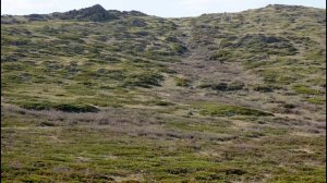 Весна в горах Башкортостана