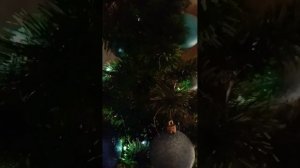 парадоксы жизни