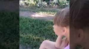 Принцессы не какают)