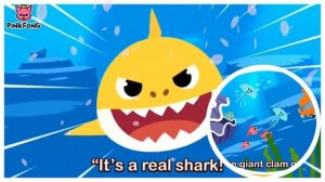 Baby Shark Bus 3D | The shark bus goes round and round | Bus Songs |Songs for Children