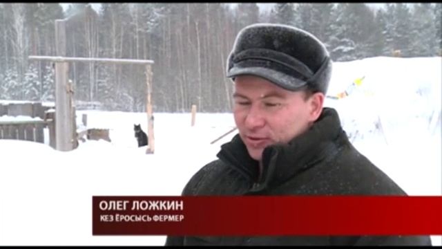 Элькунын "Начинающий фермер" программа азинске