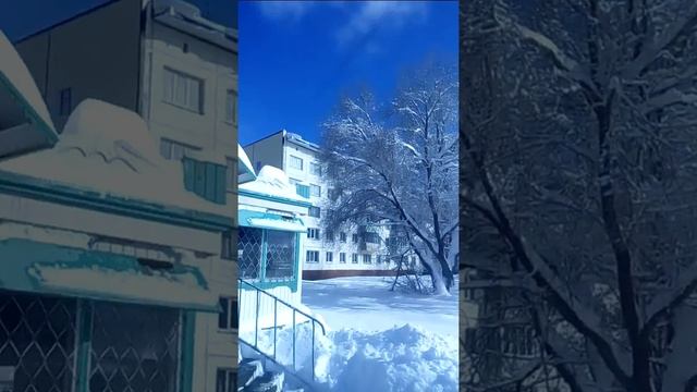 Вчера везде был асфальт, а за ночь город Бийск Алтайский край завалило снегом! смотреть онлайн