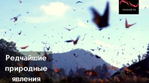 Редчайшие природные явления