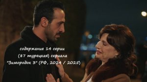 Содержание 14 серии (87 турецкая) третьего сезона сериала "Зимородок" (РФ, 2024 / 2025)