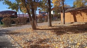 Мамочка сказала, что твоя зарплата слишком большая. Твою долю будем отдавать ей - сообщил муж