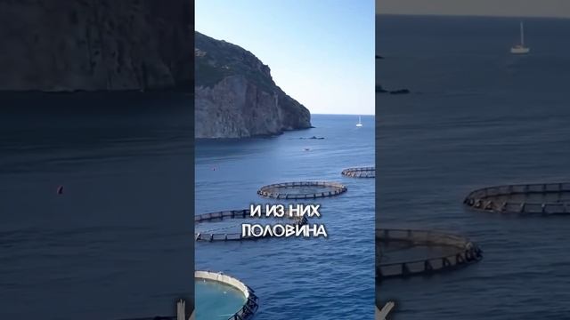 Грустная ПРАВДА. Этот Вид Рыб НЕВОЗМОЖНО Выращивать в УЗВ