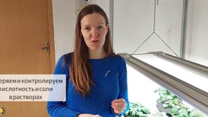 Как вырастить картофель без земли? Безвирусные сорта картошки, чипсовый сорт картофеля ❤