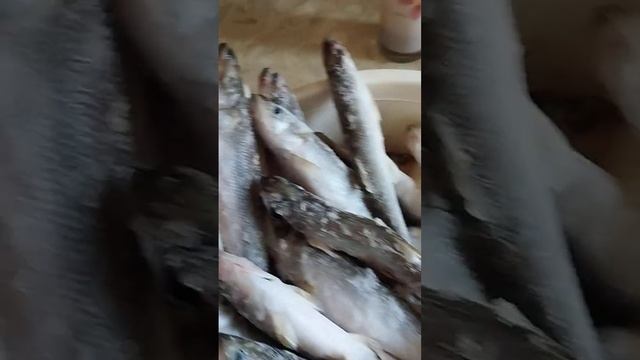 #хабаровск #дальнийвосток  Корюшка это вкусняшка! Сразу вспоминается детство.