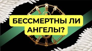 Бессмертны ли ангелы | Подкаст Книга Книг