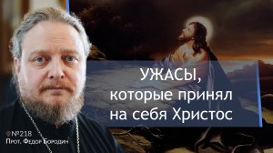 Откуда боль в нашей жизни? Священник Федор #Бородин