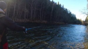 Рыбалка. Верховья р. Хор, ручей Тихий Октябрь