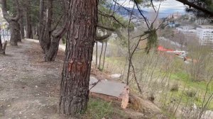 Ялта Блюхера 40 соток ИЖС