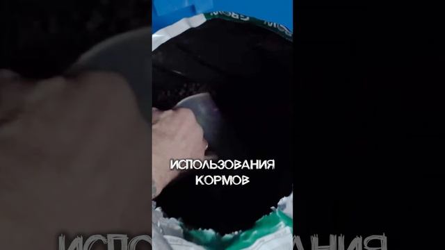 ПОЧЕМУ РЫБОВОДСТВО ВЫБИРАЮТ ВСЁ ЧАЩЕ ДЛЯ БИЗНЕСА?