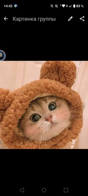 кто такие квадроперы