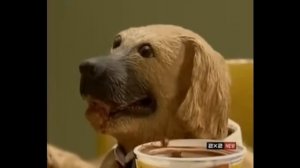 бу испугался не бойся оригинал ( автор  @LeXyS30 )