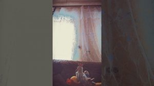 12 серия. Побег домой