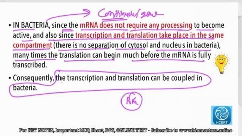 Molecular Basis of Inheritance l Lecture 13 l Biology l NEET