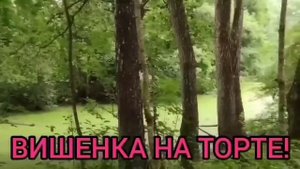 ВИШЕНКА НЕ ПО ЗУБАМ! ФУ КАКАЯ ЖЕ ЖЕСТЬ. ОЛЬГА УРАЛОЧКА LIVE. ОБЗОР.