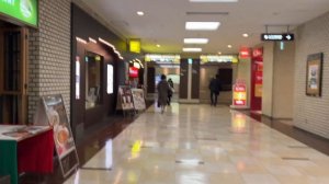 24 HOURS IN TOKYO : Trying Ceremonial Matcha & Cold Udon Soup,  Day in my life as a model