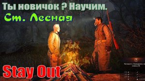 ⭐Stay Out⭐Сталкер-Онлайн👍 Ты Новичок ? Научим . Ст Лесная .