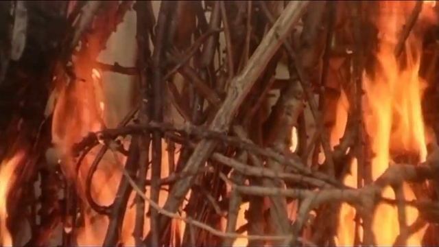 Канцлер Ги _Рок-н-ролл совершенных_