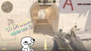 Первое развлекательное видео по CS:GO😂