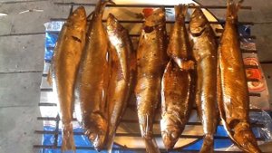 53 . Коптим рыбу ( селёдку )  👍