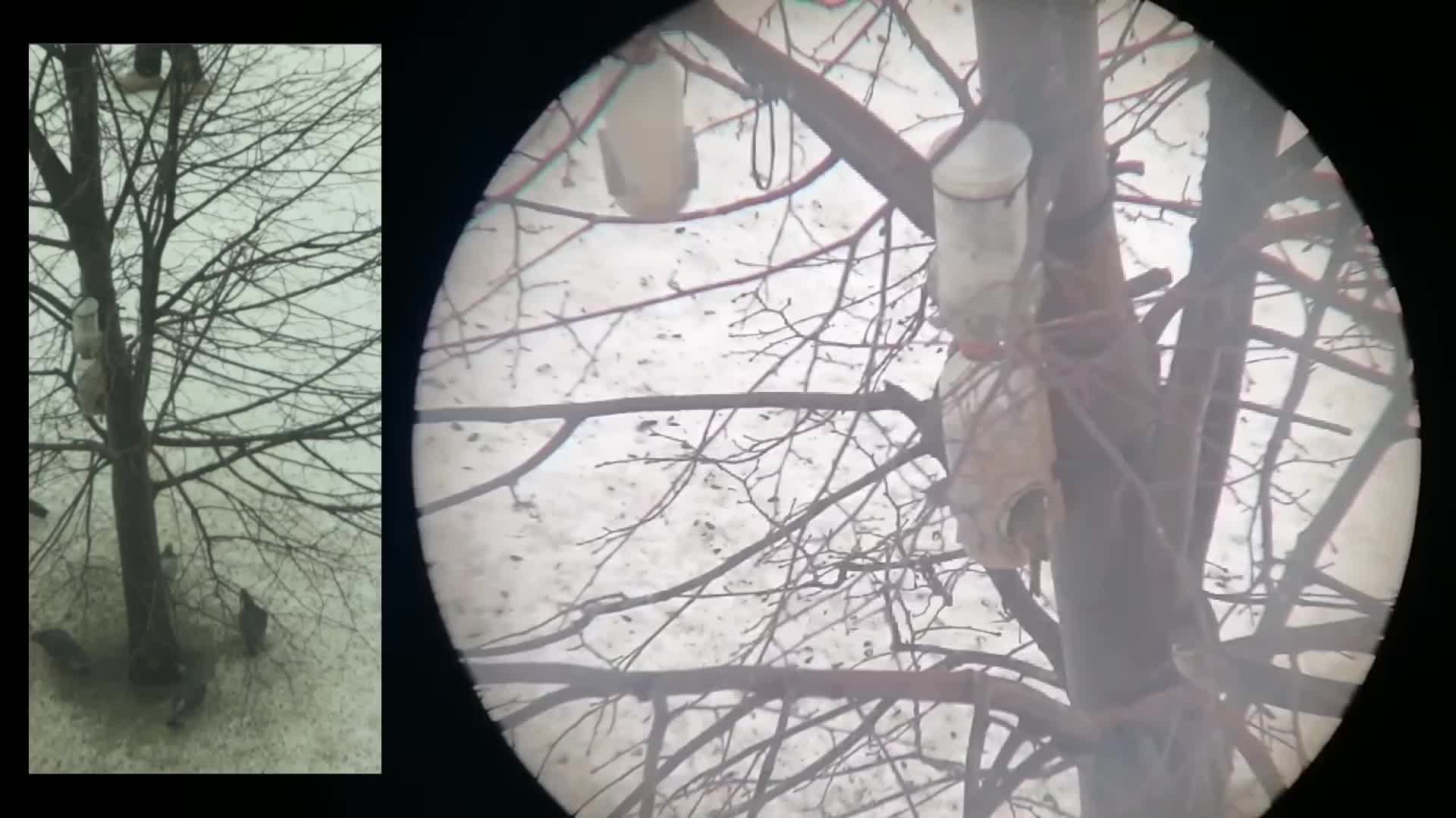 Кормушка для птиц 08.01.2025