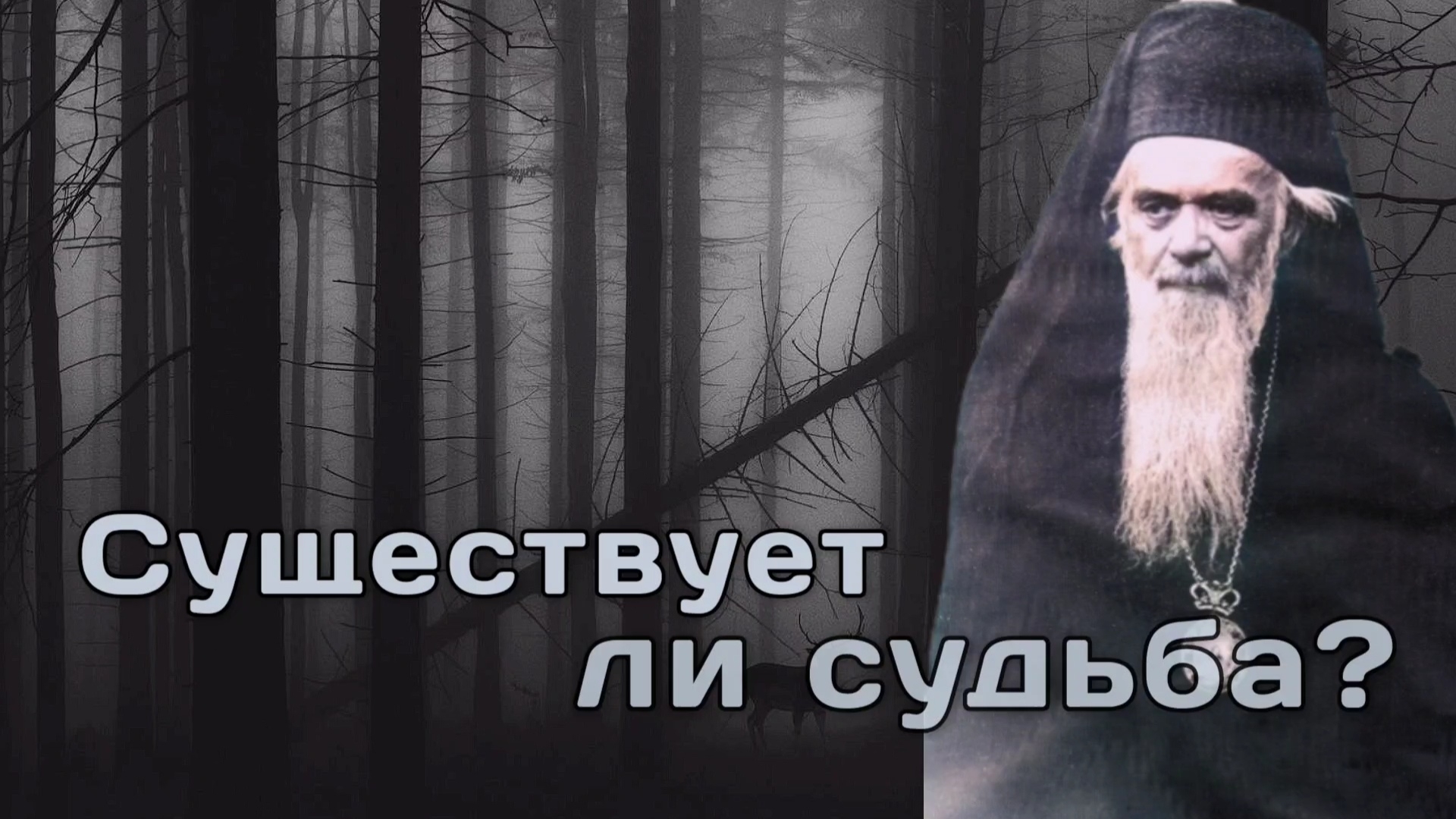 Существует ли судьба? Николай Сербский