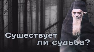 Существует ли судьба? Николай Сербский