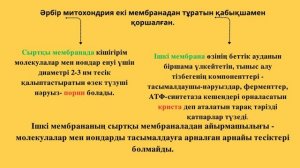 Митохондрияның құрылымдық компоненттері және олардың қызметі. 10-СЫНЫП