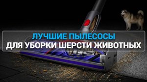 ТОП—8. ЛУЧШИЕ ПЫЛЕСОСЫ ДЛЯ УБОРКИ ШЕРСТИ ЖИВОТНЫХ. РЕЙТИНГ 2025 ГОДА!