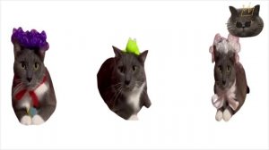 #пжактив #Котинет #Фанкотинета Паукова,Кусев и Котина Ивановна стали котиком Макссвелом^^❤️💗💖